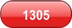1305