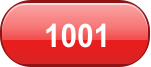 1001