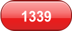 1339