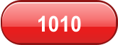 1010