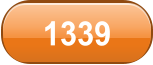 1339