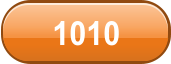 1010